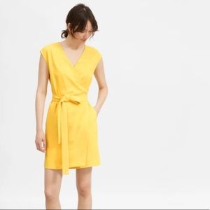 Everlane GoWeave Wrap Dress